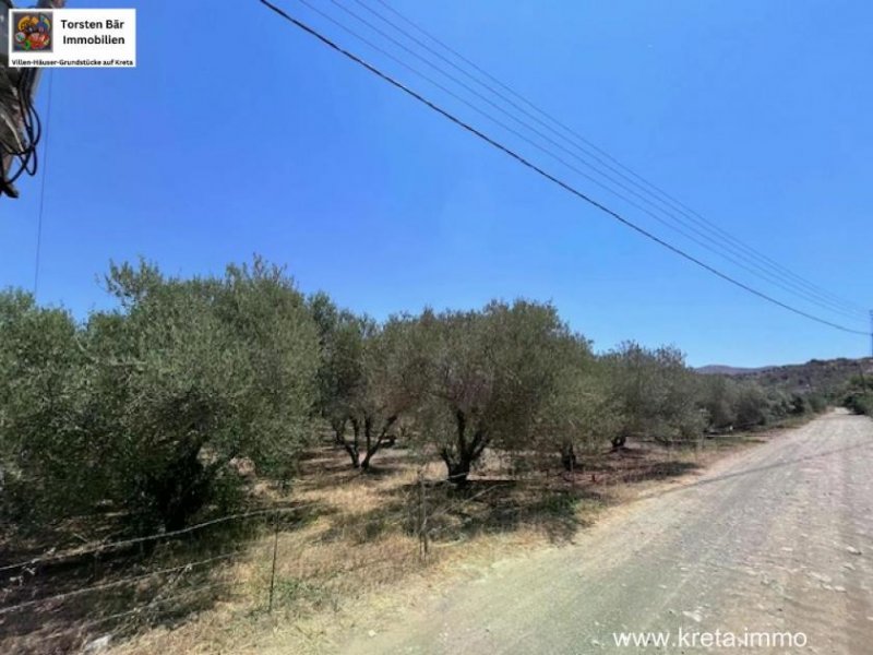 Sivas Professioneller Olivenhain in Anadasmos Siva– Gelegenheit zur landwirtschaftlichen Nutzung und Gewächshausprojekt Grundstück